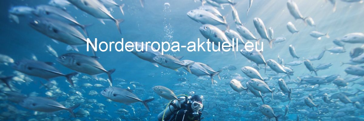 nordeuropa-aktuell.eu